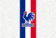 法国国家队队旗标志
